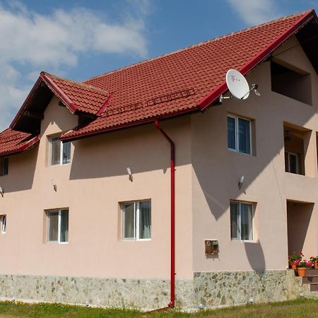Pensiunea Aly Bumbesti Pitic Ngoại thất bức ảnh