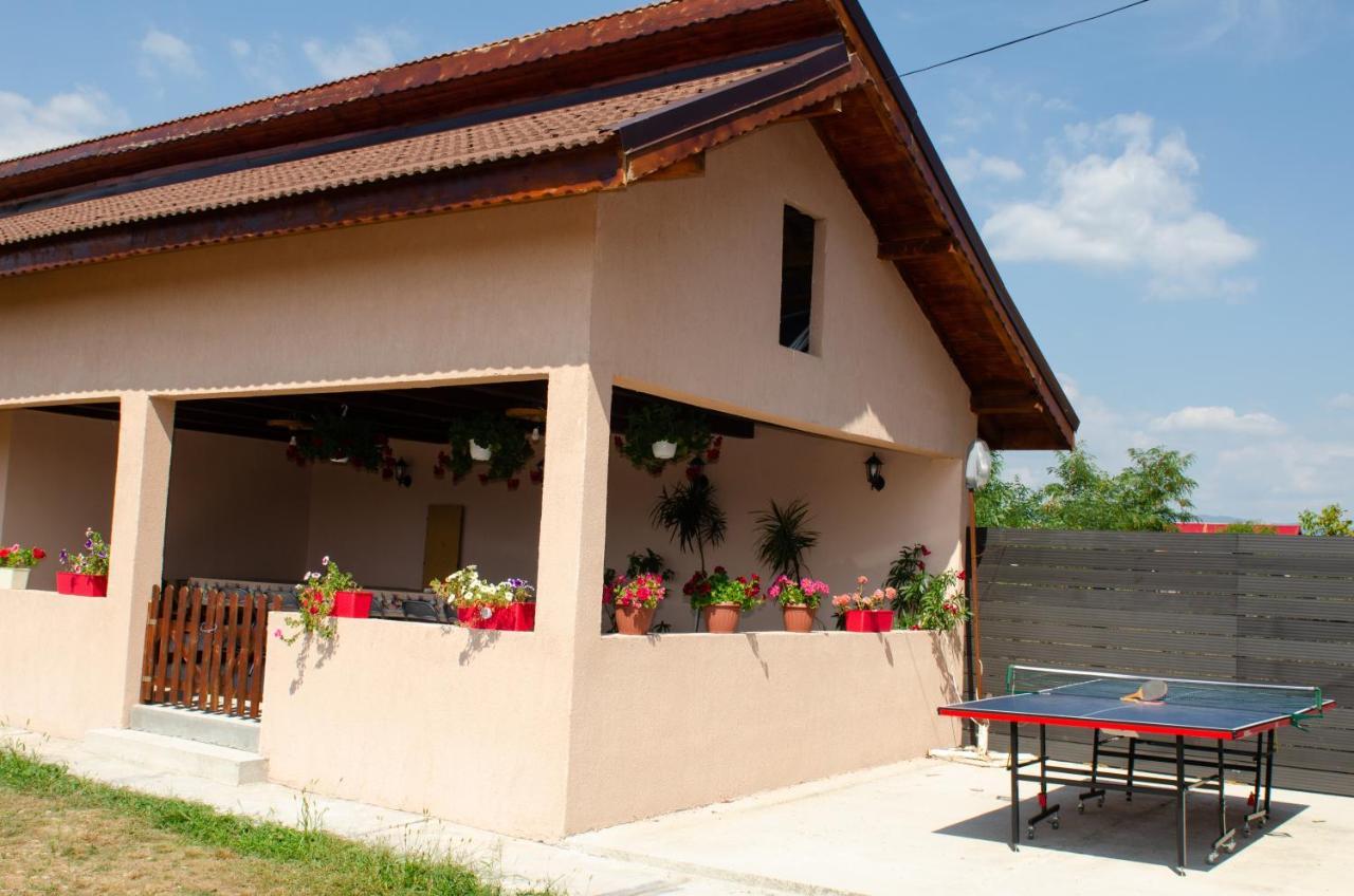 Pensiunea Aly Bumbesti Pitic Ngoại thất bức ảnh