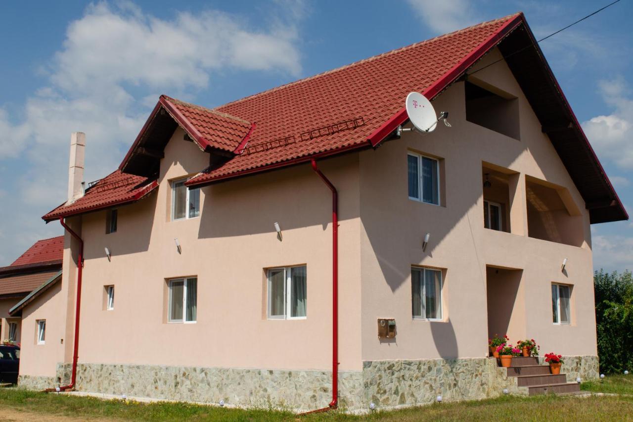 Pensiunea Aly Bumbesti Pitic Ngoại thất bức ảnh